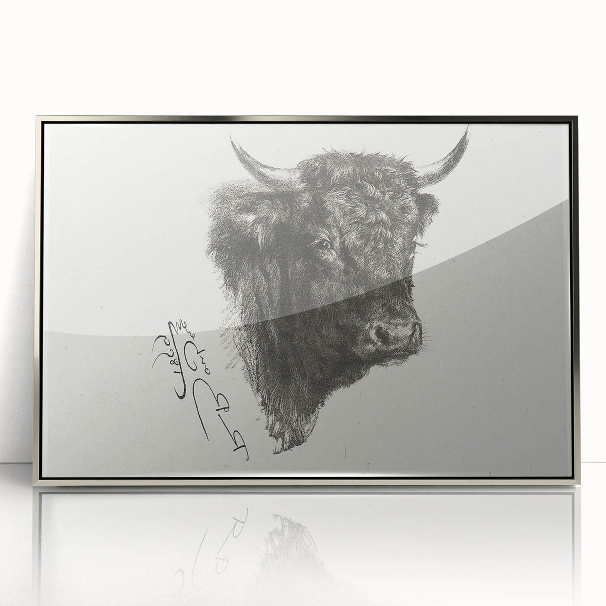Animal Realism Art Print - Head of a Bull by Marie Rosalie Bonheur - Fine Detail Sketch