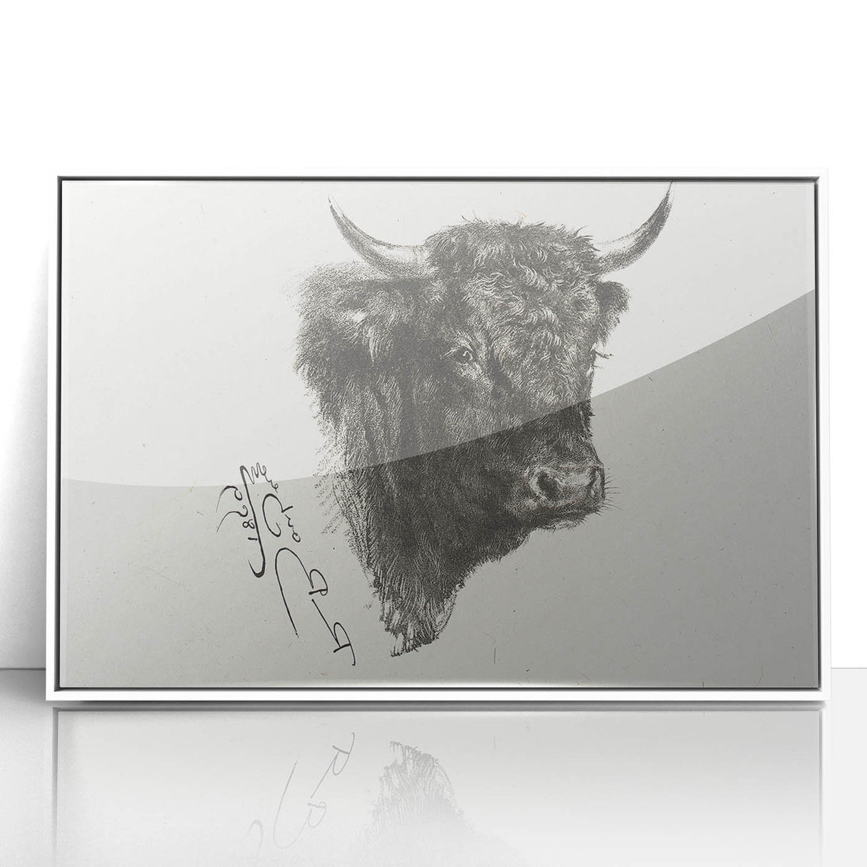 Animal Realism Art Print - Head of a Bull by Marie Rosalie Bonheur - Fine Detail Sketch