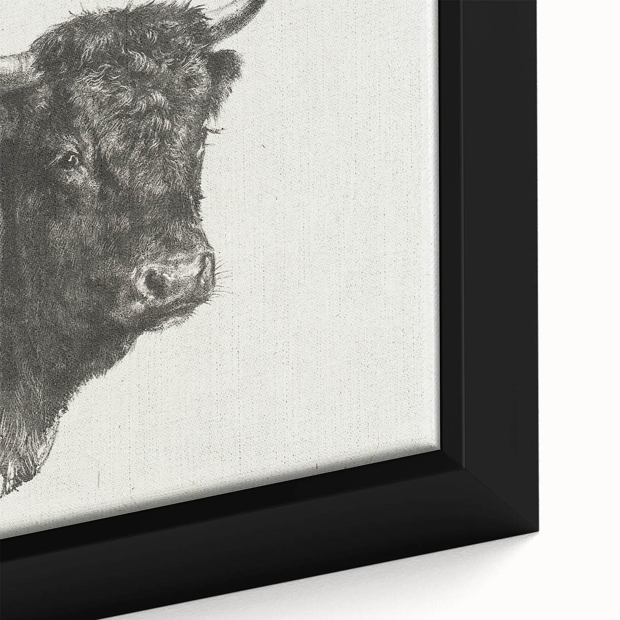 Animal Realism Art Print - Head of a Bull by Marie Rosalie Bonheur - Fine Detail Sketch