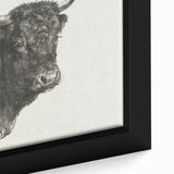 Animal Realism Art Print - Head of a Bull by Marie Rosalie Bonheur - Fine Detail Sketch