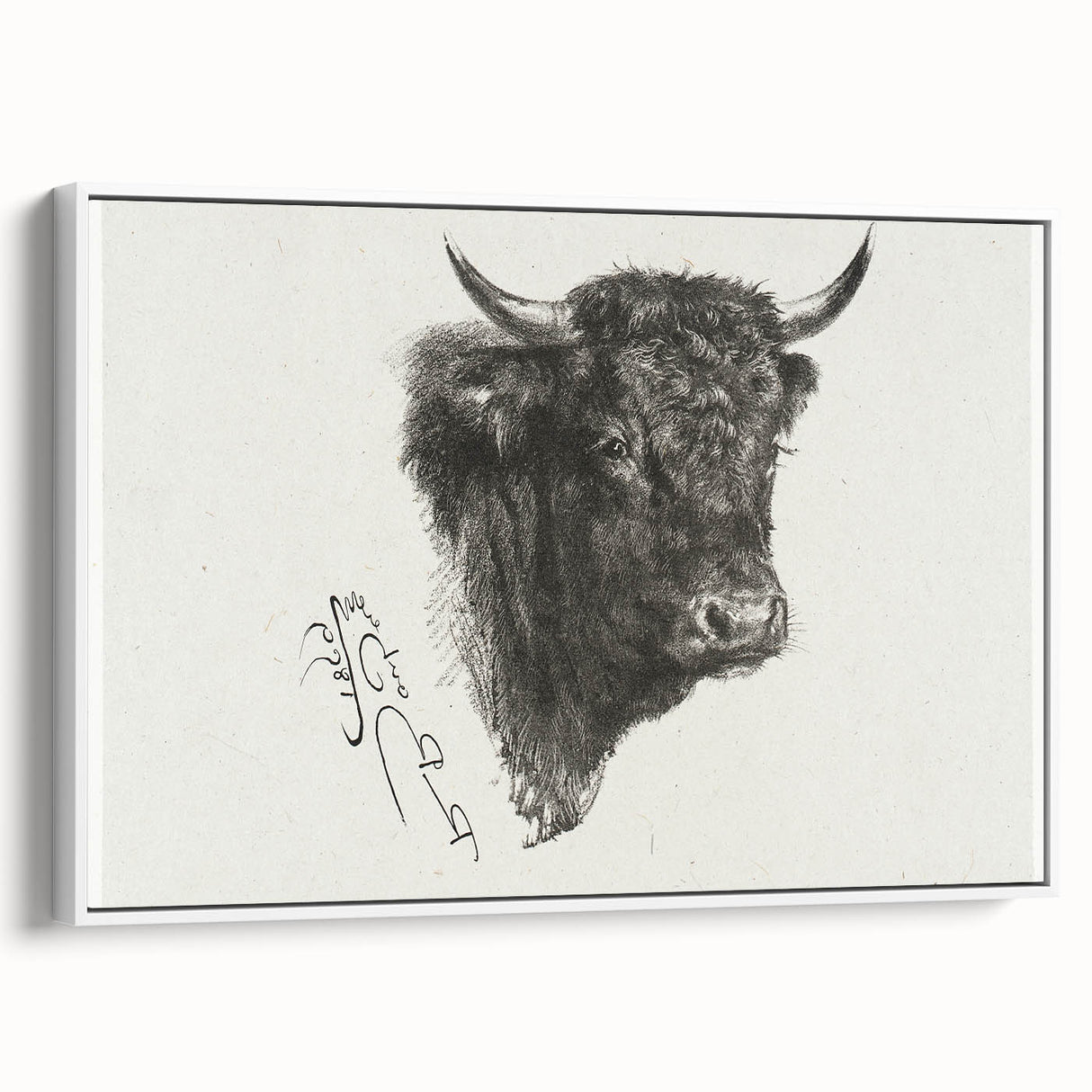 Animal Realism Art Print - Head of a Bull by Marie Rosalie Bonheur - Fine Detail Sketch