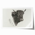 Animal Realism Art Print - Head of a Bull by Marie Rosalie Bonheur - Fine Detail Sketch