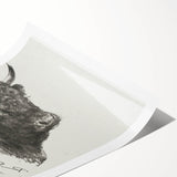 Animal Realism Art Print - Head of a Bull by Marie Rosalie Bonheur - Fine Detail Sketch