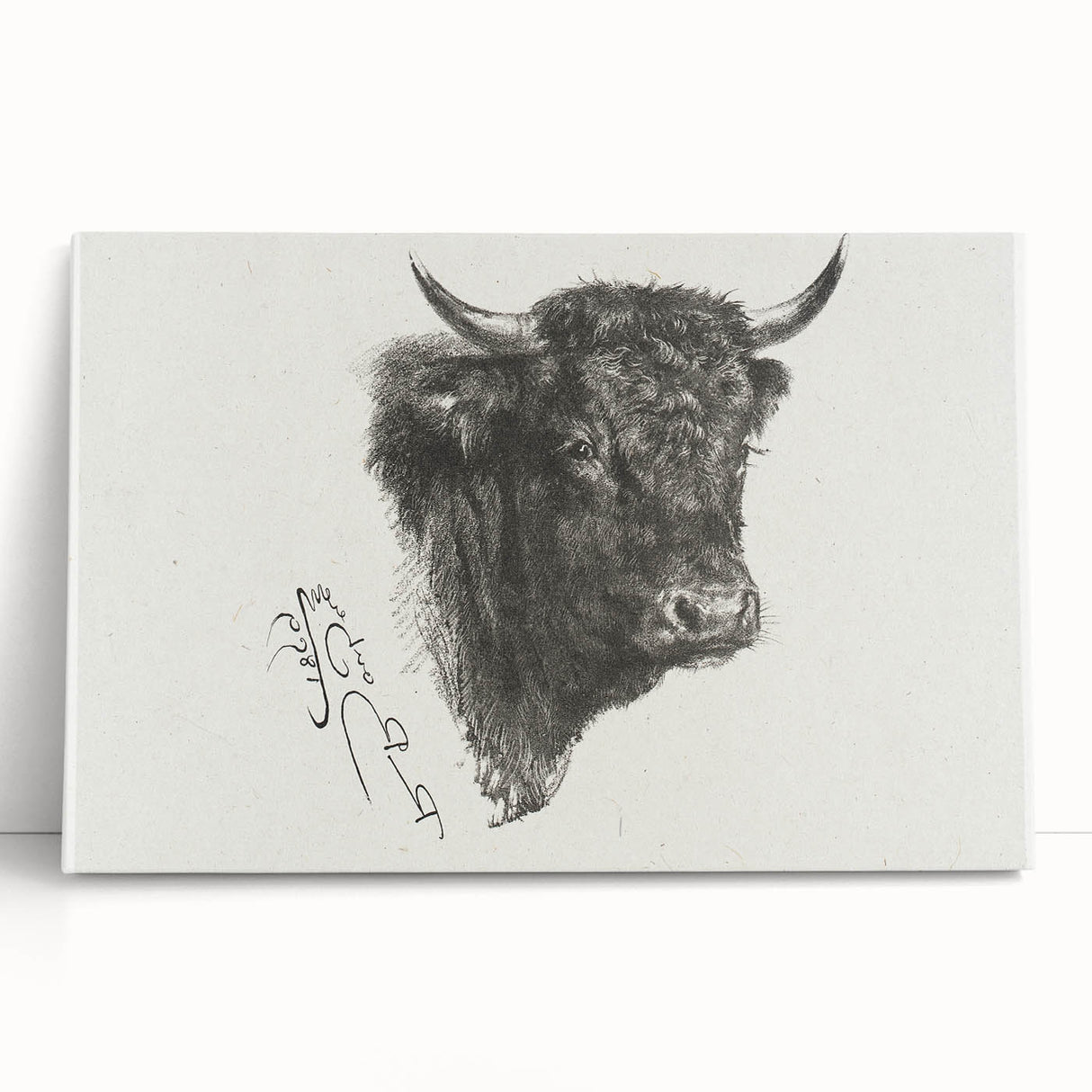 Animal Realism Art Print - Head of a Bull by Marie Rosalie Bonheur - Fine Detail Sketch