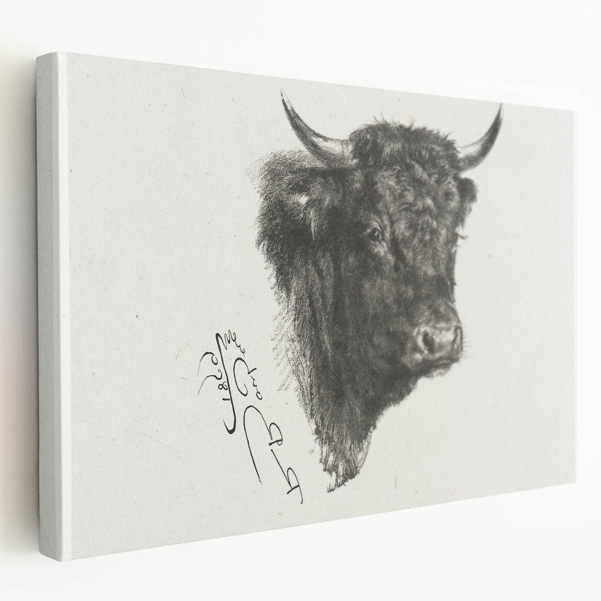 Animal Realism Art Print - Head of a Bull by Marie Rosalie Bonheur - Fine Detail Sketch