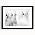 Freedom Surge – Emotional Movement Photography of White Horses