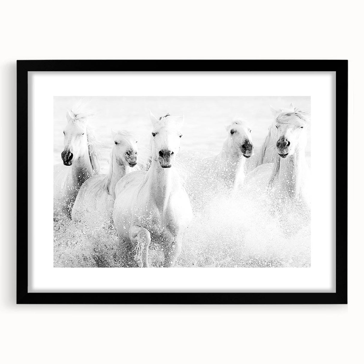 Freedom Surge – Emotional Movement Photography of White Horses