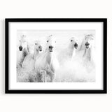 Freedom Surge – Emotional Movement Photography of White Horses