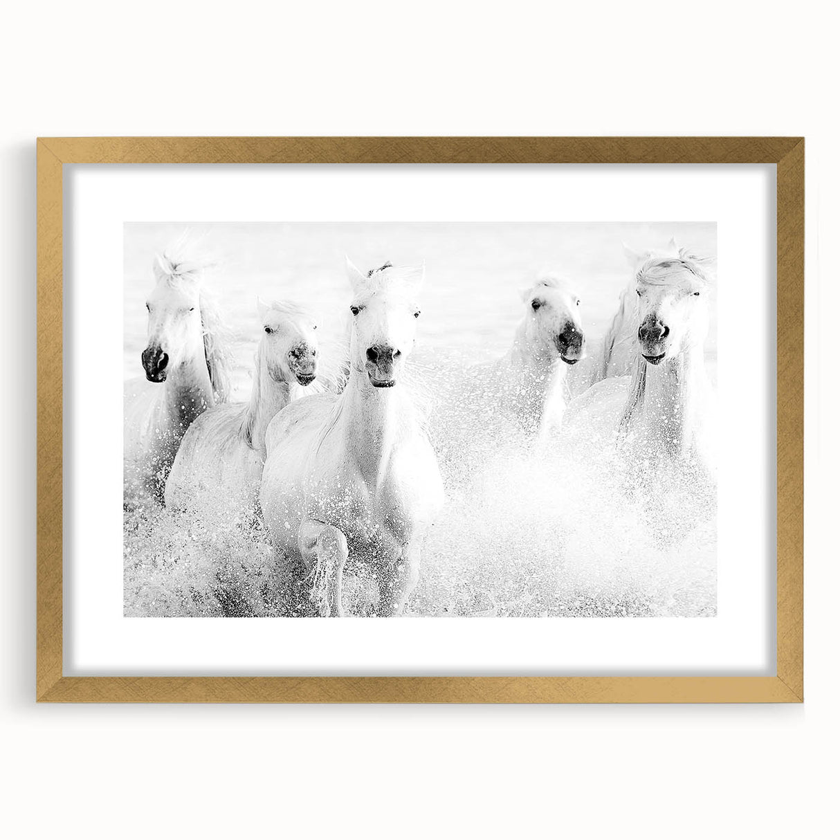 Freedom Surge – Emotional Movement Photography of White Horses