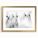 Freedom Surge – Emotional Movement Photography of White Horses