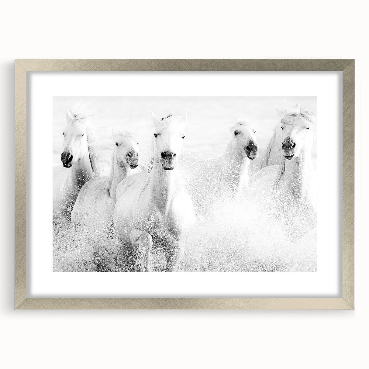 Freedom Surge – Emotional Movement Photography of White Horses