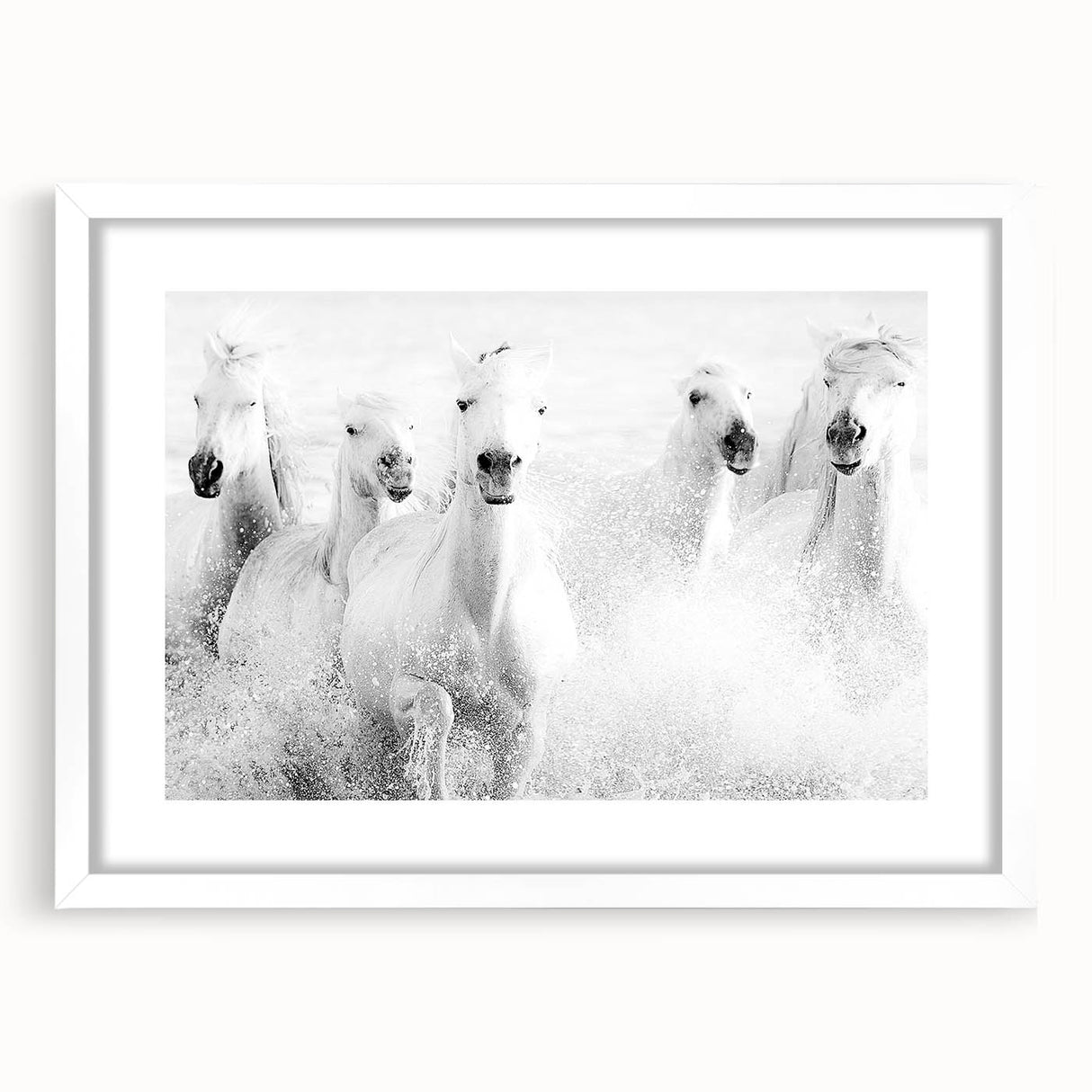 Freedom Surge – Emotional Movement Photography of White Horses