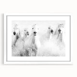 Freedom Surge – Emotional Movement Photography of White Horses