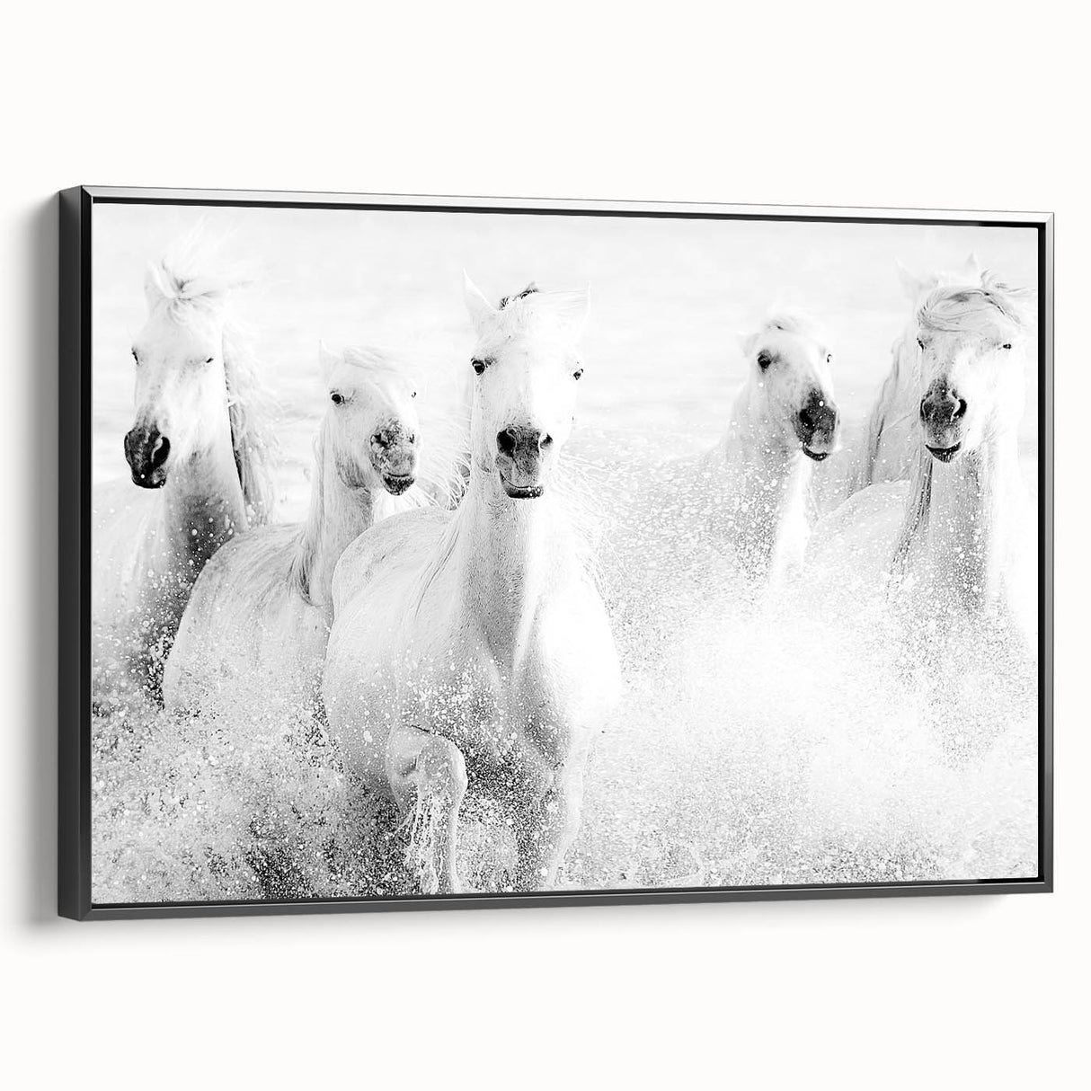 Freedom Surge – Emotional Movement Photography of White Horses