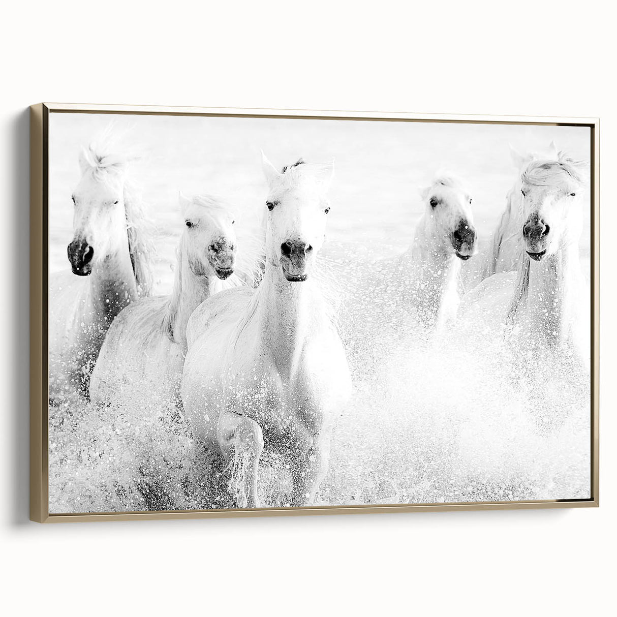 Freedom Surge – Emotional Movement Photography of White Horses