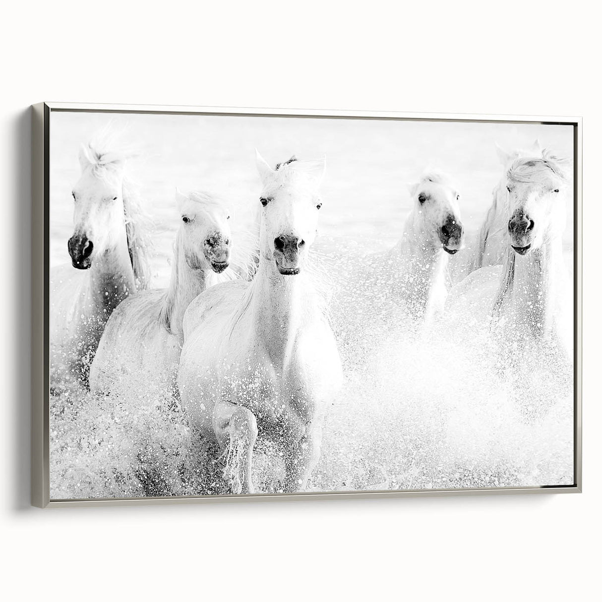 Freedom Surge – Emotional Movement Photography of White Horses