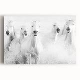 Freedom Surge – Emotional Movement Photography of White Horses