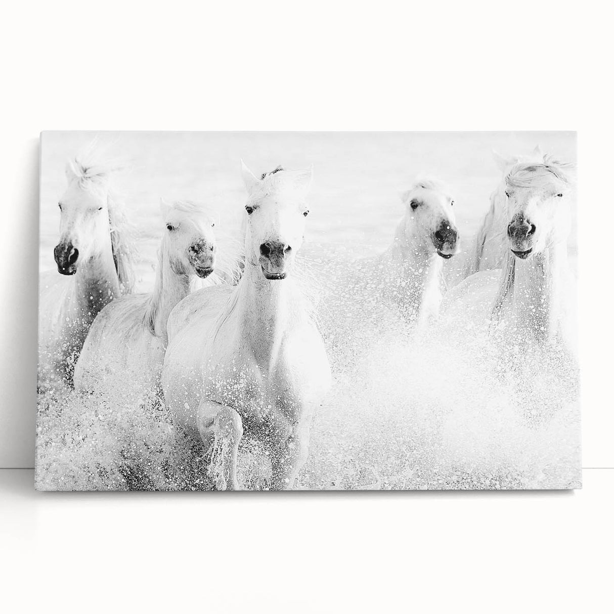 Freedom Surge – Emotional Movement Photography of White Horses