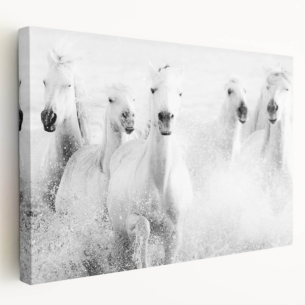 Freedom Surge – Emotional Movement Photography of White Horses