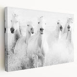 Freedom Surge – Emotional Movement Photography of White Horses