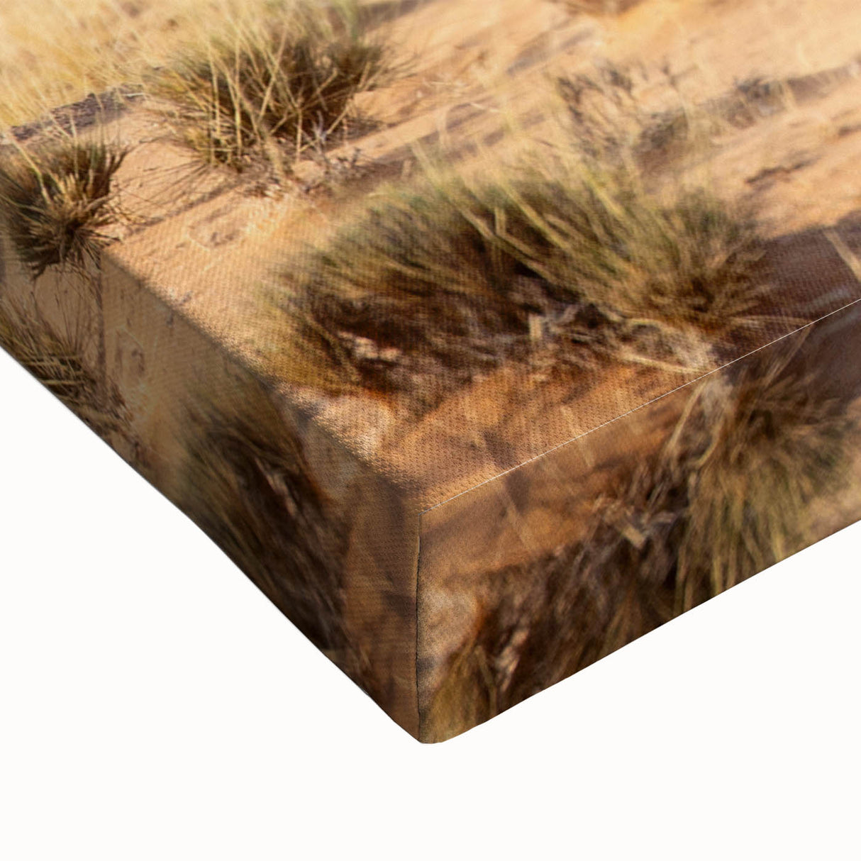 Black and white landscape art painting of a Namibian desert on large stretched canvas, suited for bedroom decor.