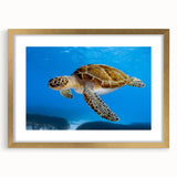 Abstract art print of a European Cyprus landscape in muted earth tones, framed in gold, suitable for dining room decor.