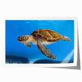 Rolled print of a Cyprus landscape featuring vibrant green and blue tones, ideal for art wall dining room decor.