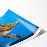 Extra large wall art featuring line art flowers in black on a white background, ideal for large living room ambiance.