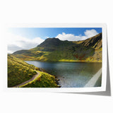 Rolled print of Cumbria landscape with lush greenery and floral elements in soft earth tones.