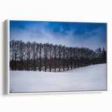 Vintage poster art of a European scenery on extra large framed canvas, featuring colorful art against a black background.