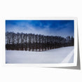 Extra large rolled print of a serene Estonian landscape with vibrant green fields and a clear blue sky.