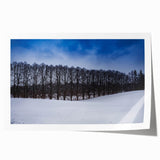 Extra large rolled print of a serene Estonian landscape with vibrant green fields and a clear blue sky.