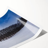 Extra large wall art featuring line art flowers in muted earth tones on a rolled print, ideal for large living room decor.