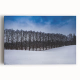 Black and white stretched canvas featuring a panoramic view of a European cityscape, ideal for kitchen wall art.