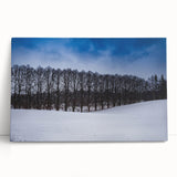 Black and white photo of European scenic landscape on large stretched canvas, suitable for kitchen wall art.