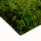 Large art canvas depicting a black and white landscape of Latvia, ideal for bedroom wall decor.