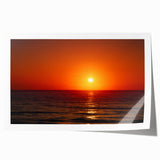 Extra large rolled print of Daytona scenery with vibrant floral elements, ideal for art wall dining room.