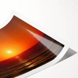 Extra large wall art featuring line art flowers in black and white, rolled print format.