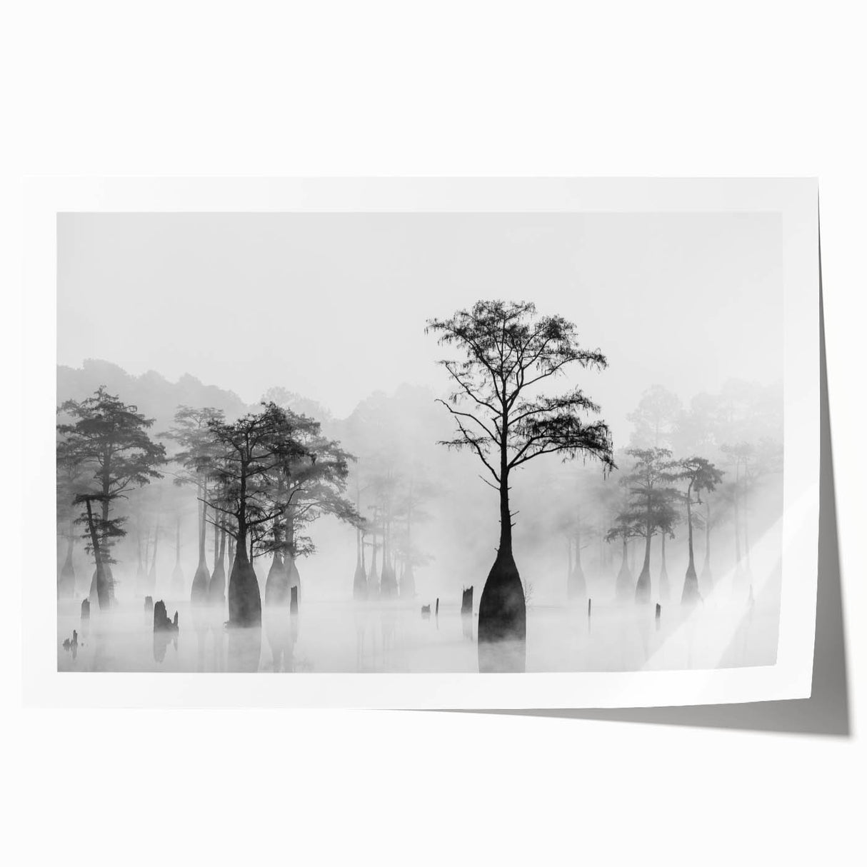 Extra large rolled print of Louisiana scenery with vibrant floral elements, ideal for art wall dining room.