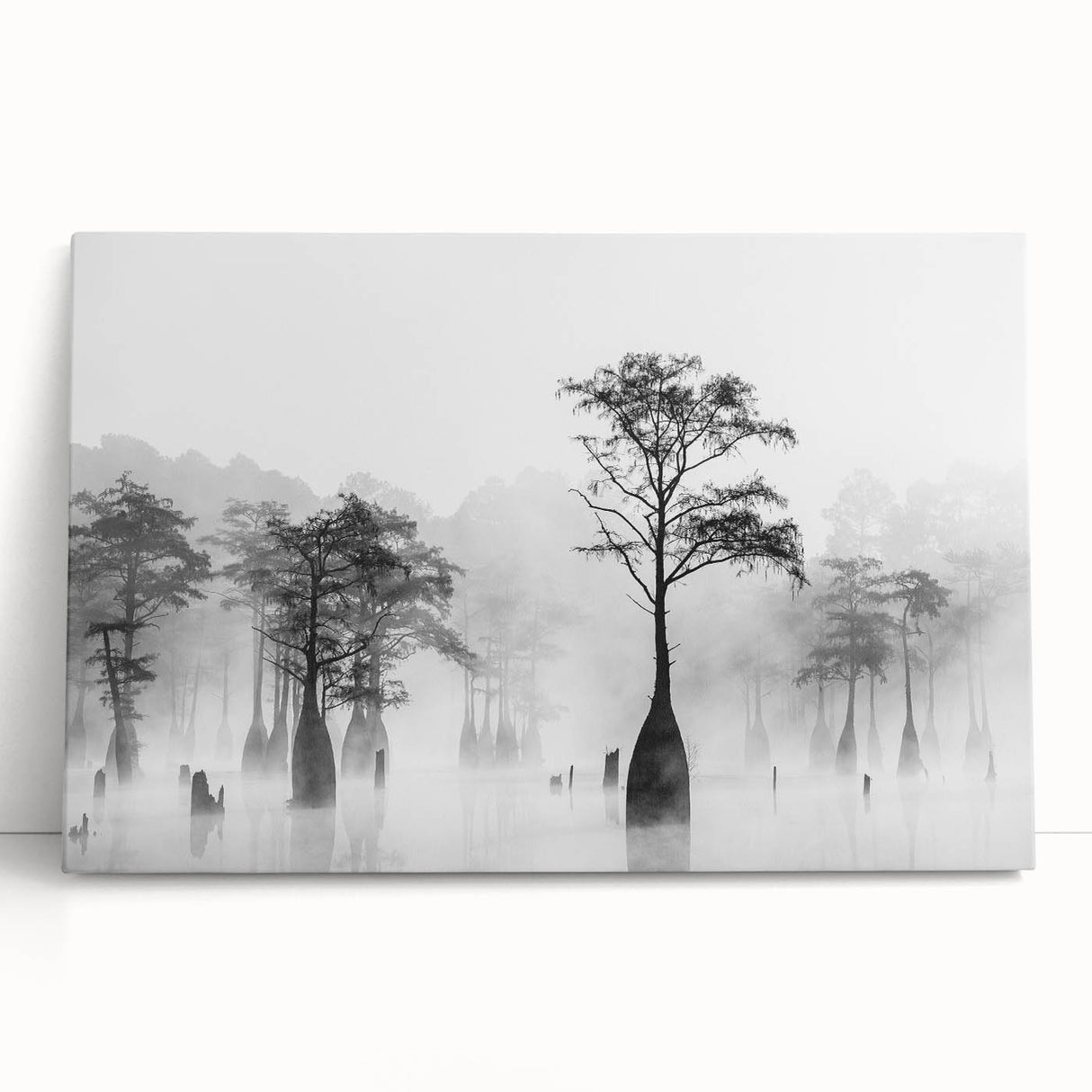 Black and white large art print of Louisiana scenery on stretched canvas, ideal for kitchen wall art or bedroom decor.