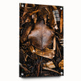 Large abstract wall art on acrylic glass depicting autumn themes in warm orange and brown tones.