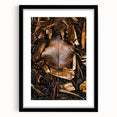 Extra large framed abstract art print featuring textured autumnal hues, ideal for living room decor.