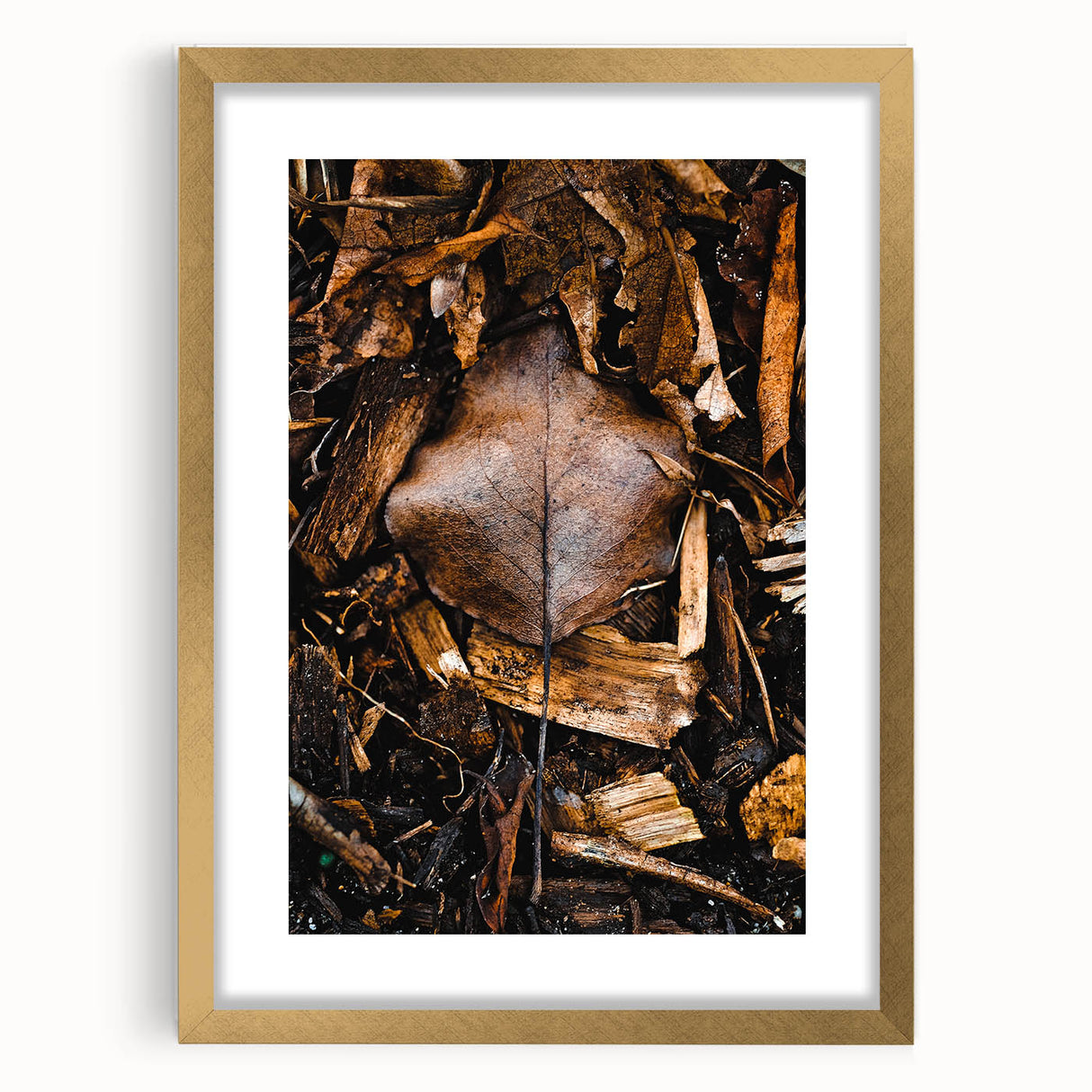 Extra large abstract art print depicting textured fall foliage in gold frame, suited for living room decor.