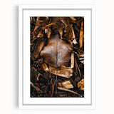 Abstract art print depicting fall foliage in muted orange and brown tones, framed with a white mat.
