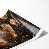 Extra large wall art featuring line art flowers in autumn hues on a rolled print, suitable for large living room decor.