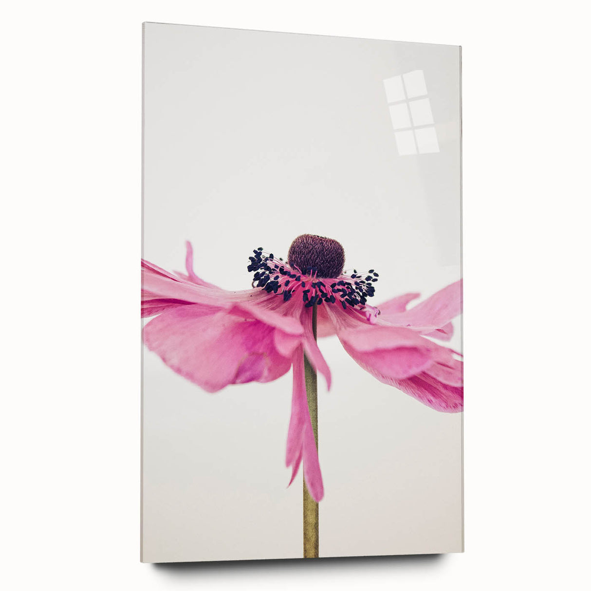 Large abstract wall art on acrylic glass depicting vibrant spring colors, ideal for bedroom or dining room decor.