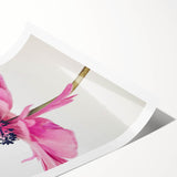 Extra large wall art featuring line art flowers in soft pastel shades on a rolled canvas.