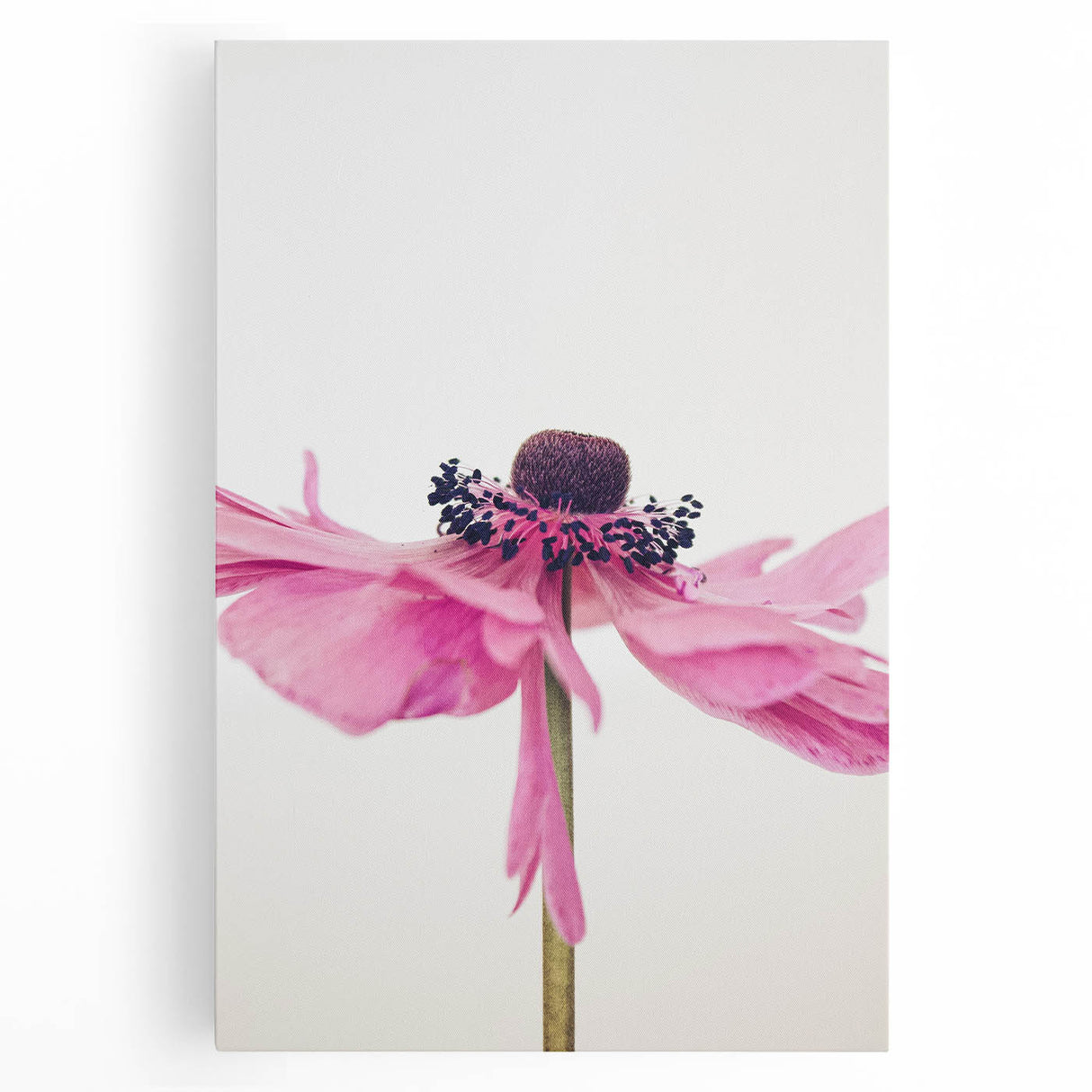 Black and white abstract floral design on large stretched canvas, suited for kitchen wall art.