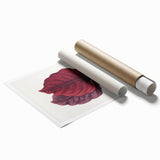 Romanticism Art - Amarantus Melancholicus Leaf Illustration on Canvas