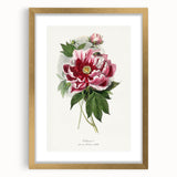 Romanticism Art - Peony Flower Painting on Canvas